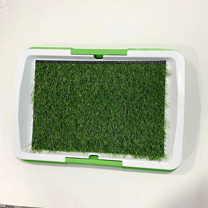 Baño para Mascotas Plano con Diseño de Césped