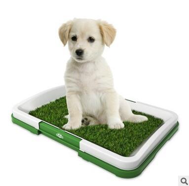 Baño para Mascotas Plano con Diseño de Césped
